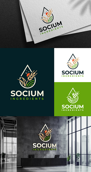 Logo Design by StunnerDesignz for this project | Design: #37557604