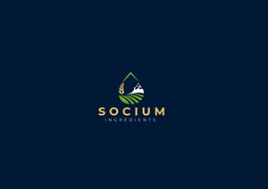 Logo Design by mallikage for this project | Design: #37553699