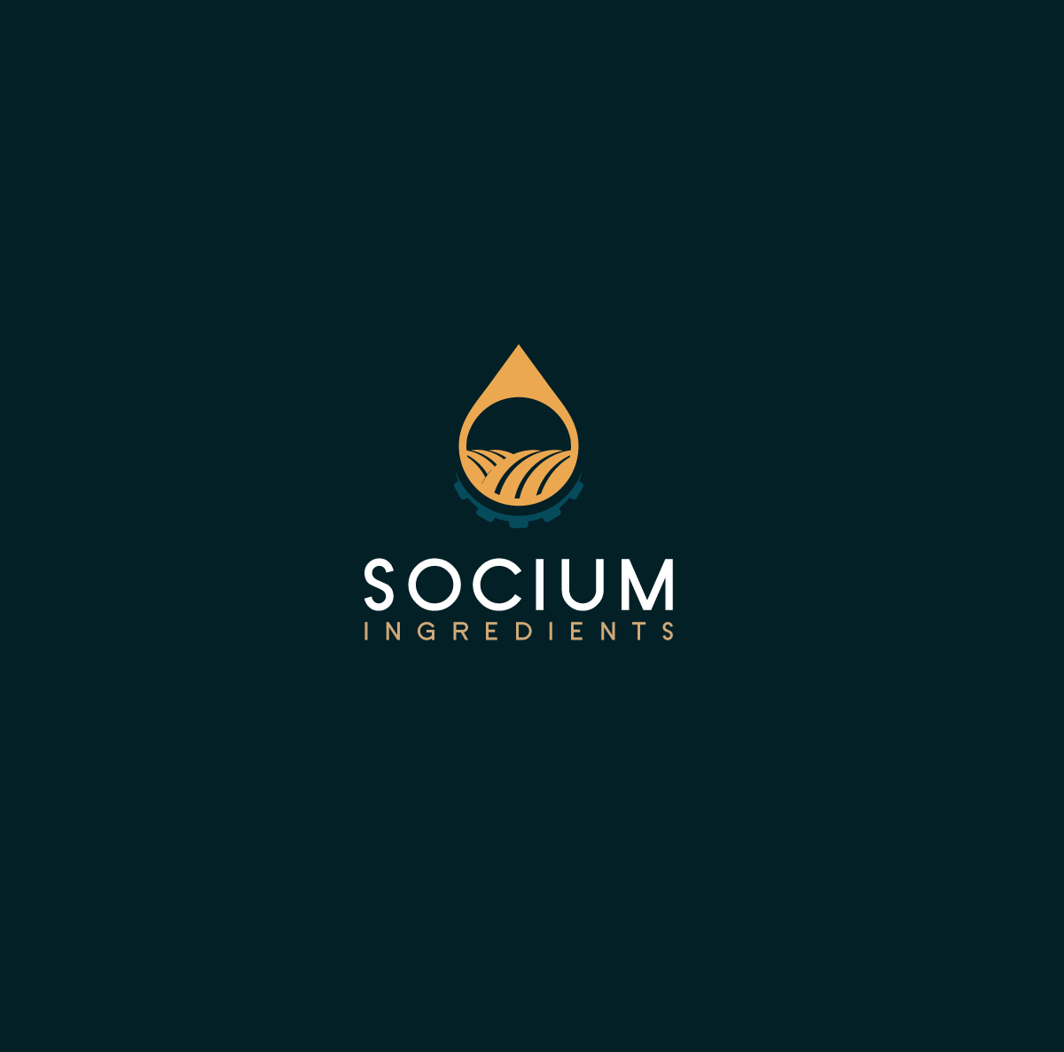 Logo Design by bijuak for this project | Design #37556203
