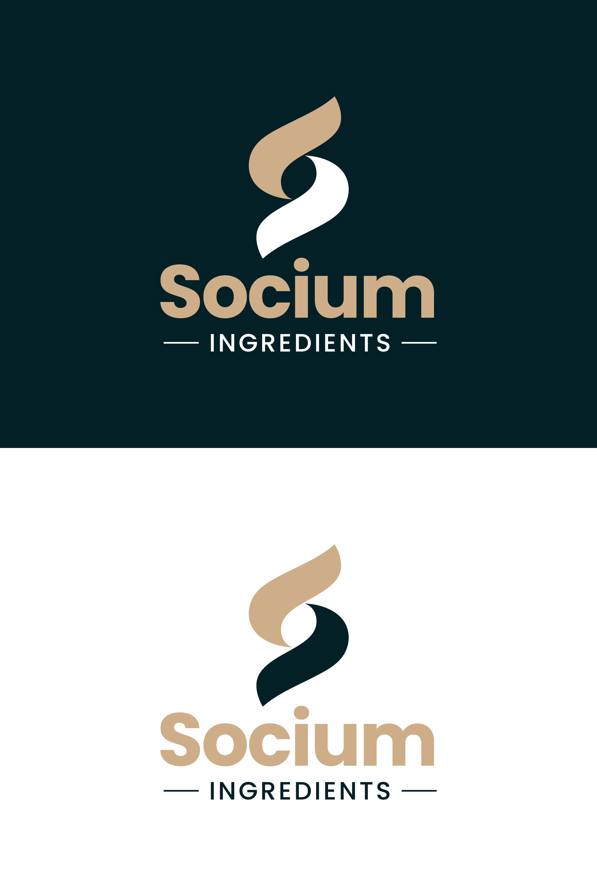 Logo Design by Kejo87 for this project | Design #37571530