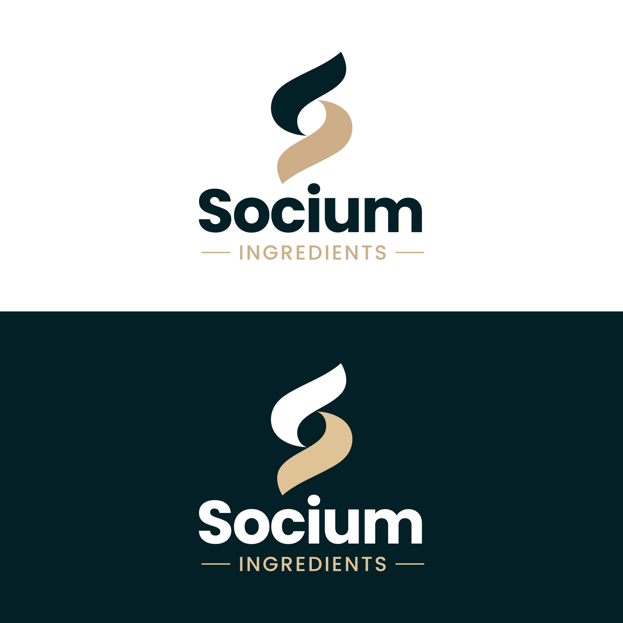 Logo Design by Kejo87 for this project | Design #37571572