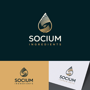 Design de Logo par b4udz!n pour ce projet | Design : #37554665