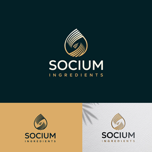 Design de Logo par b4udz!n pour ce projet | Design : #37554666