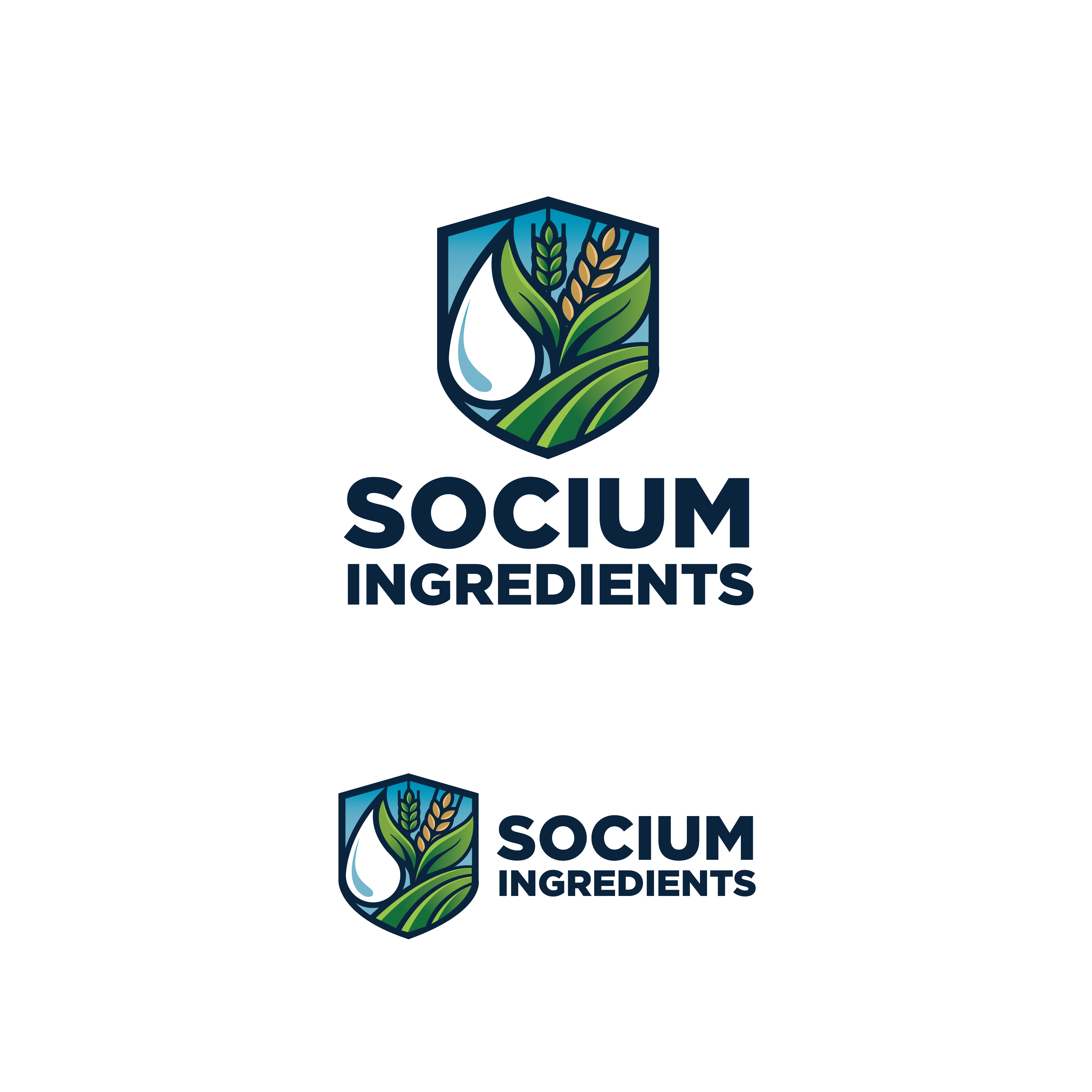 Logo Design by ares_h1 for this project | Design #37557662