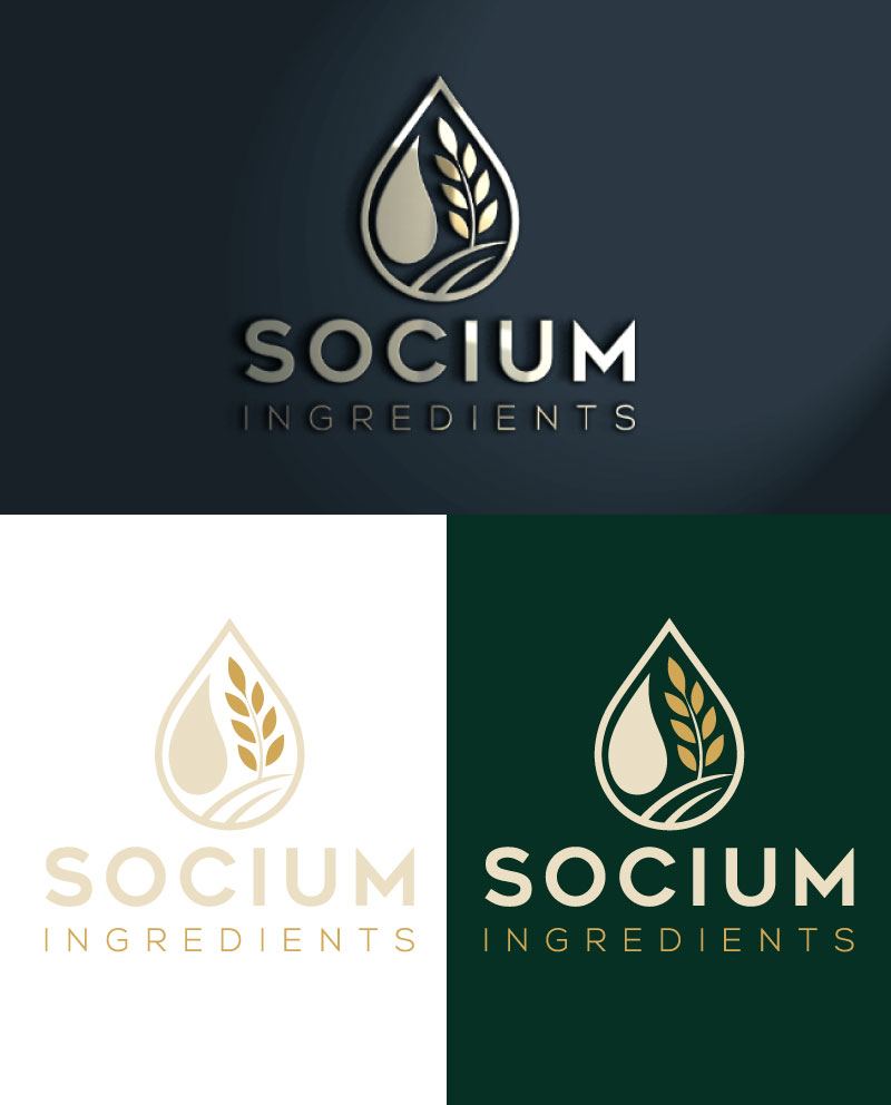 Diseño de Logo por Chanel graphics para este proyecto | Diseño #37554477