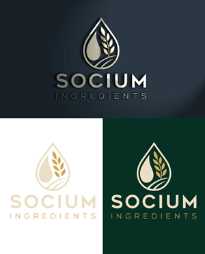 Logo Design by Chanel graphics for this project | Design: #37554477