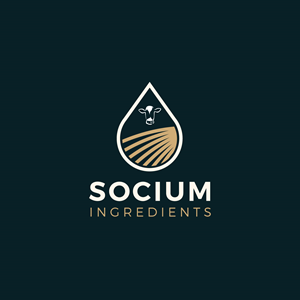 Logo Design by geni for this project | Design #37568769