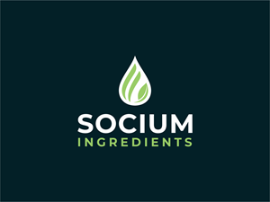 Logo Design by BNdesigner for this project | Design: #37556632