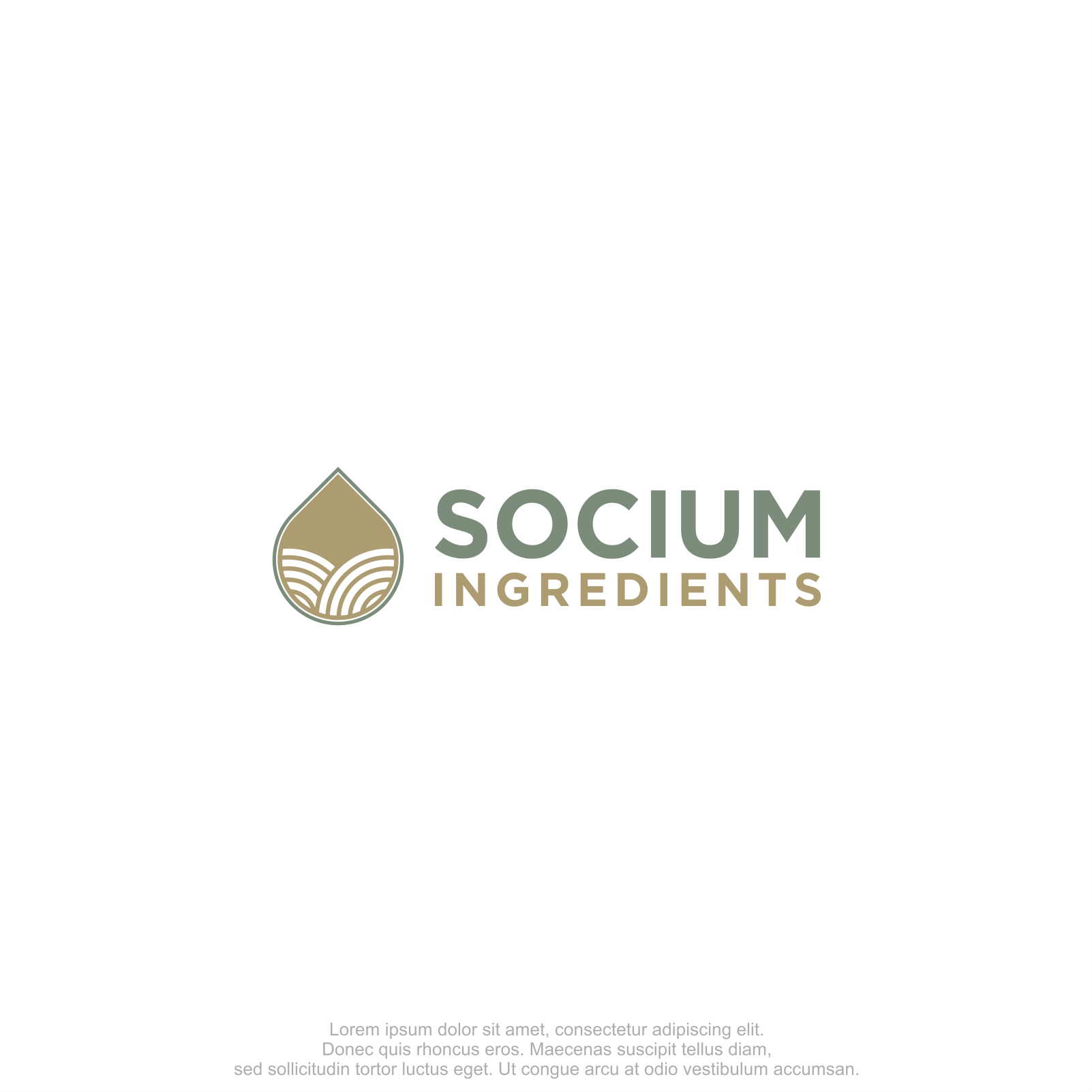 Diseño de Logo por M.Syaiful Huda para este proyecto | Diseño #37569618