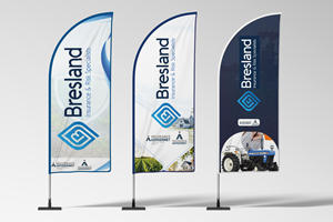 Diseño Gráfico por designgreen para Bresland Insurance & Risk Specialists | Diseño: #37564585