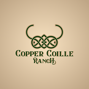 Logo Design by Harold C for this project | Design: #37563975