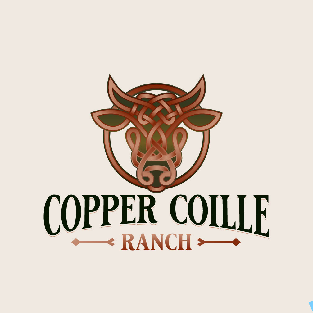 Logo Design by Franabanana for this project | Design #37569147