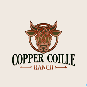 Logo Design by Franabanana for this project | Design: #37569147