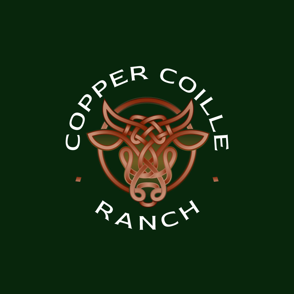Logo Design by Franabanana for this project | Design #37570140