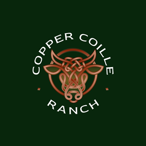 Logo Design by Franabanana for this project | Design: #37570140