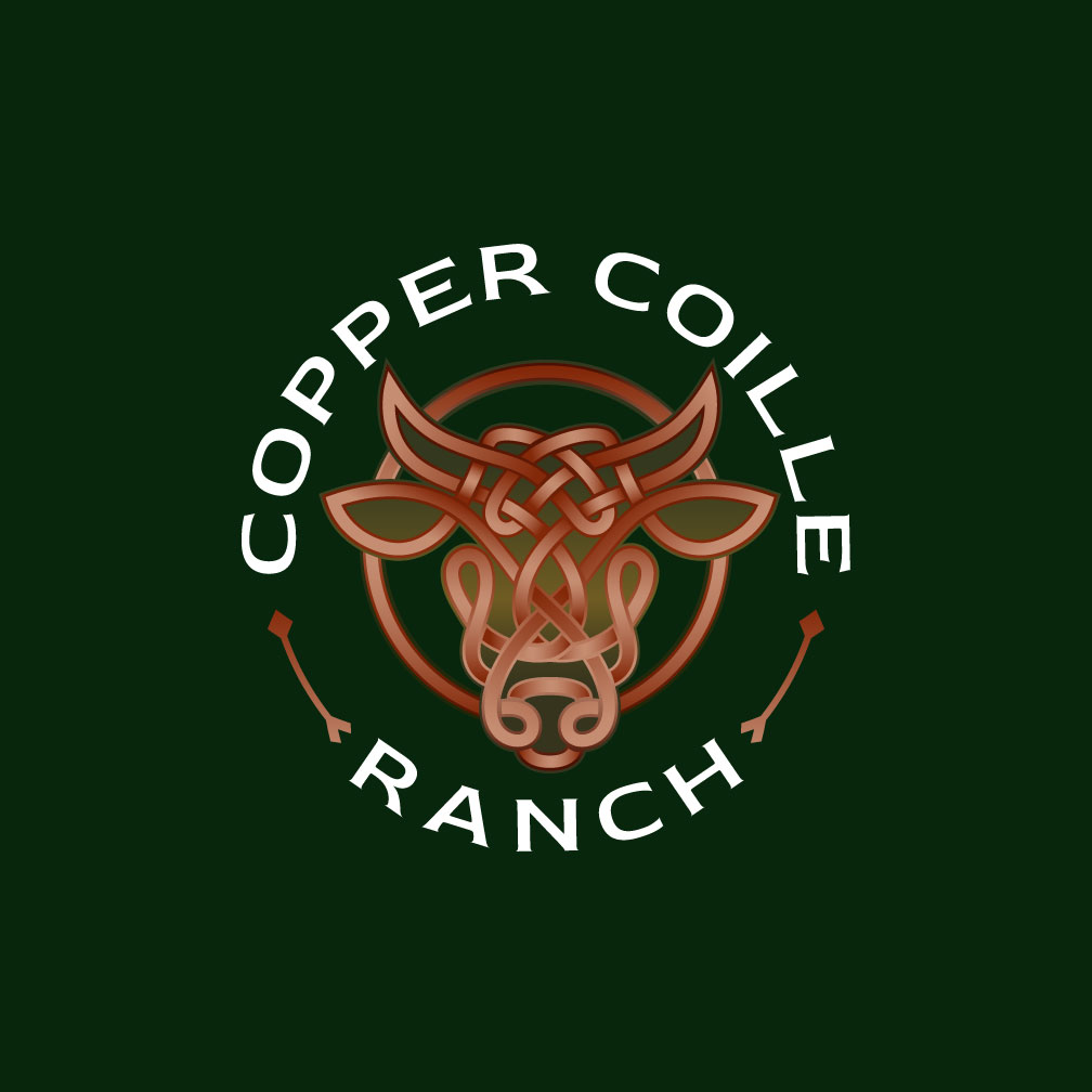 Logo Design by Franabanana for this project | Design #37570141