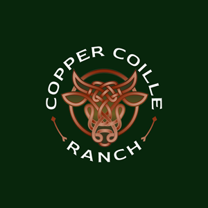Logo Design by Franabanana for this project | Design: #37570141