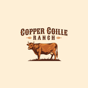 Logo Design by Jerwin Intac for this project | Design: #37565453