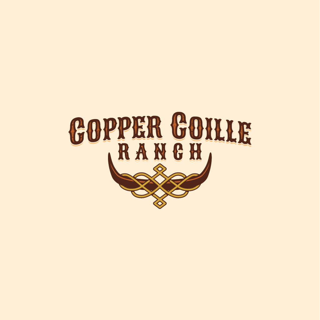 Logo Design by Jerwin Intac for this project | Design #37565566