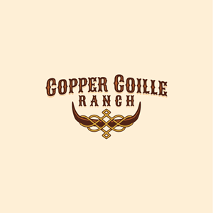 Logo Design by Jerwin Intac for this project | Design: #37565566