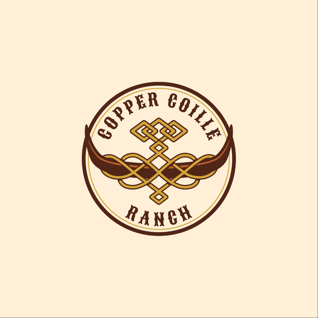 Logo Design by Jerwin Intac for this project | Design #37575518
