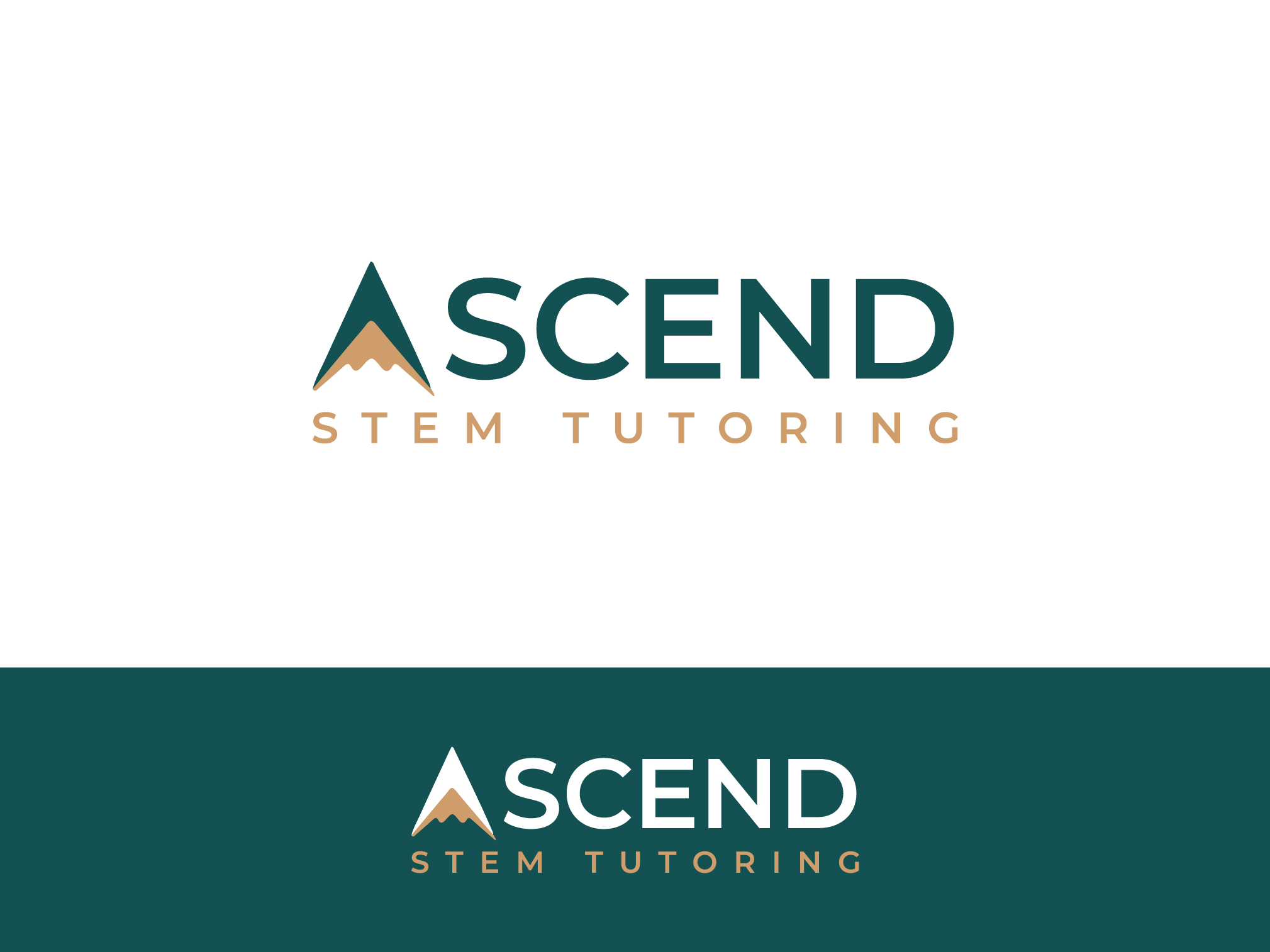 Design de Logo par yozdesign pour Ascend STEM Tutoring | Design #37572124