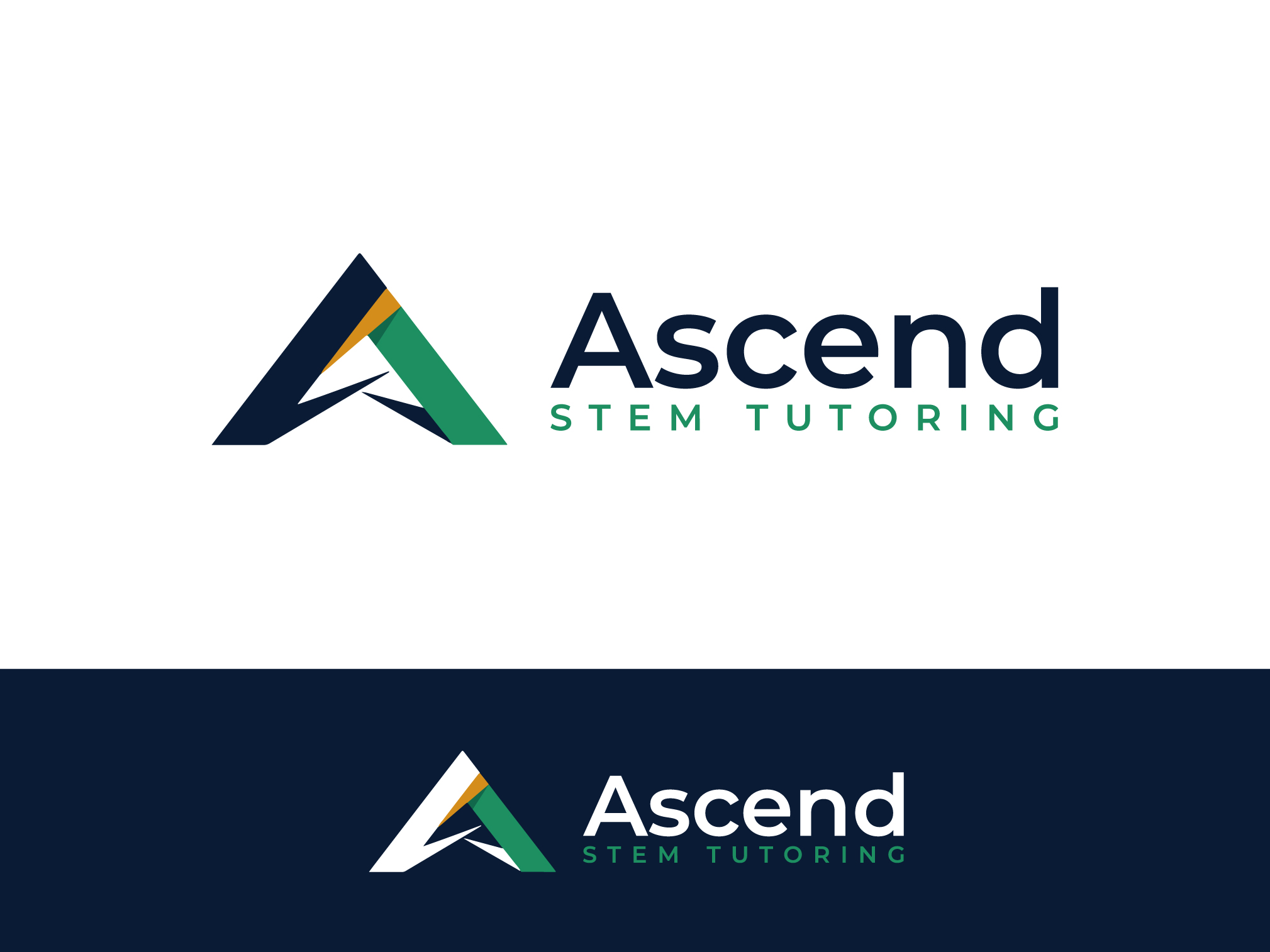 Design de Logo par yozdesign pour Ascend STEM Tutoring | Design #37572128