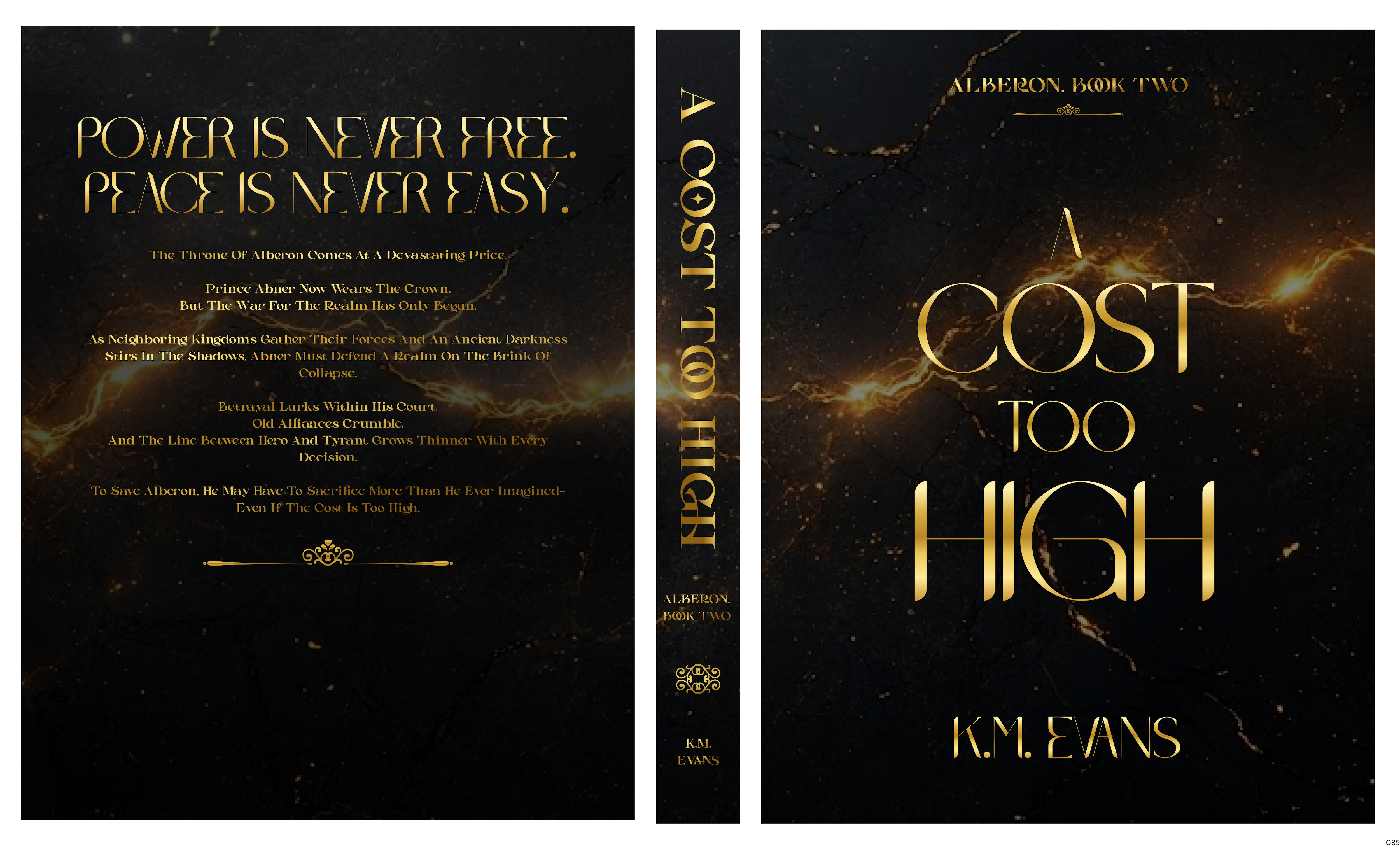 Book Cover Design by pb for this project | Design #37569720