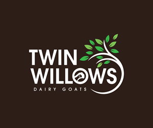 Logo-Design von Adi Graphics für dieses Projekt | Design: #37578212