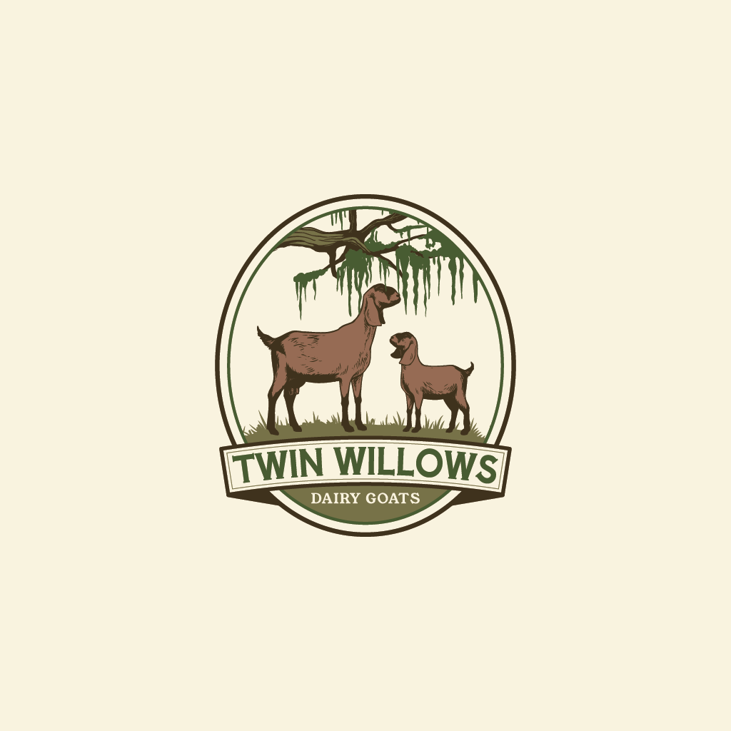 Logo-Design von Jerwin Intac für dieses Projekt | Design #37586570