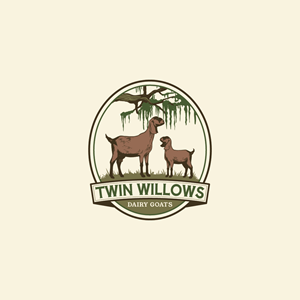 Logo-Design von Jerwin Intac für dieses Projekt | Design: #37586570