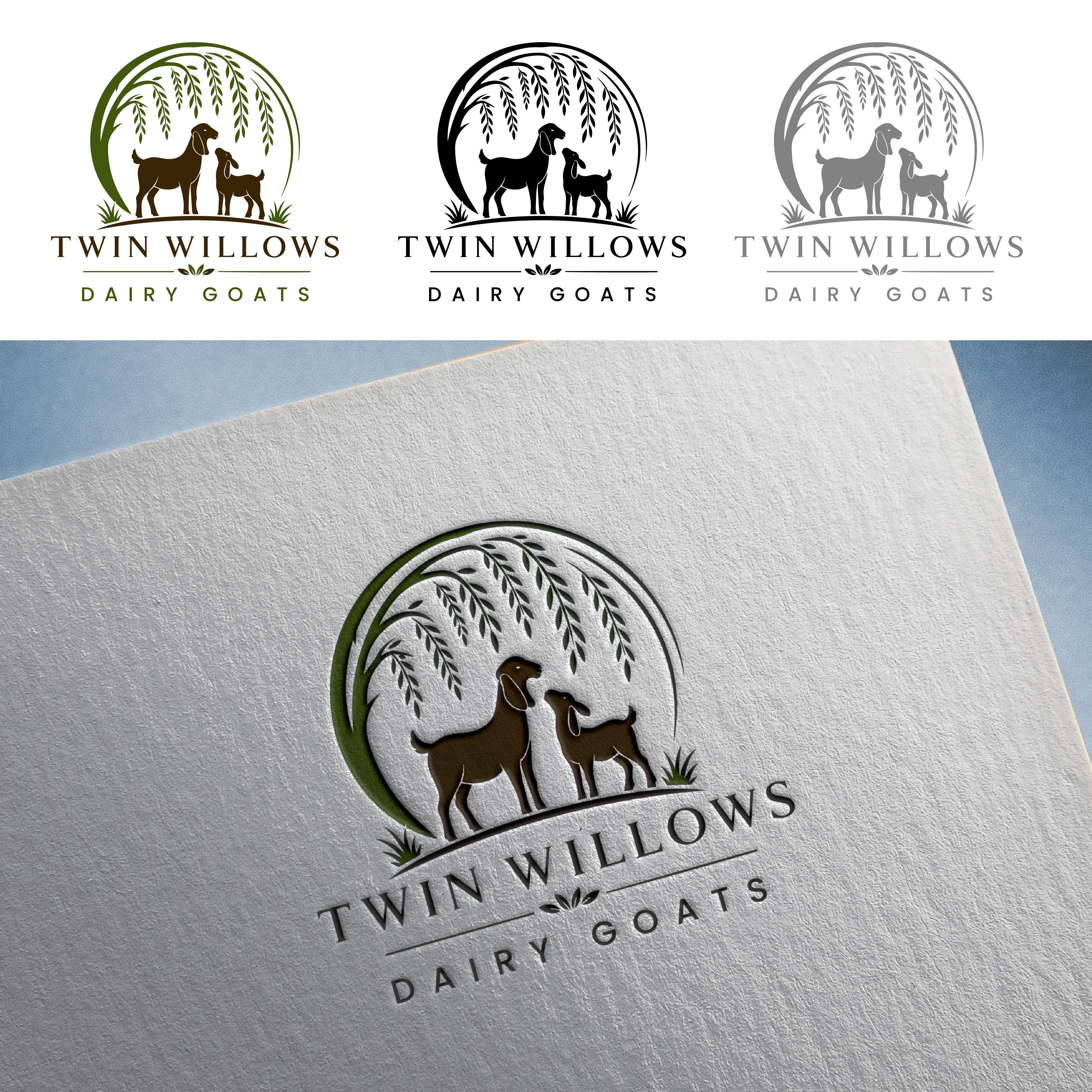 Logo Design by Shariqology for this project | Design #37576857