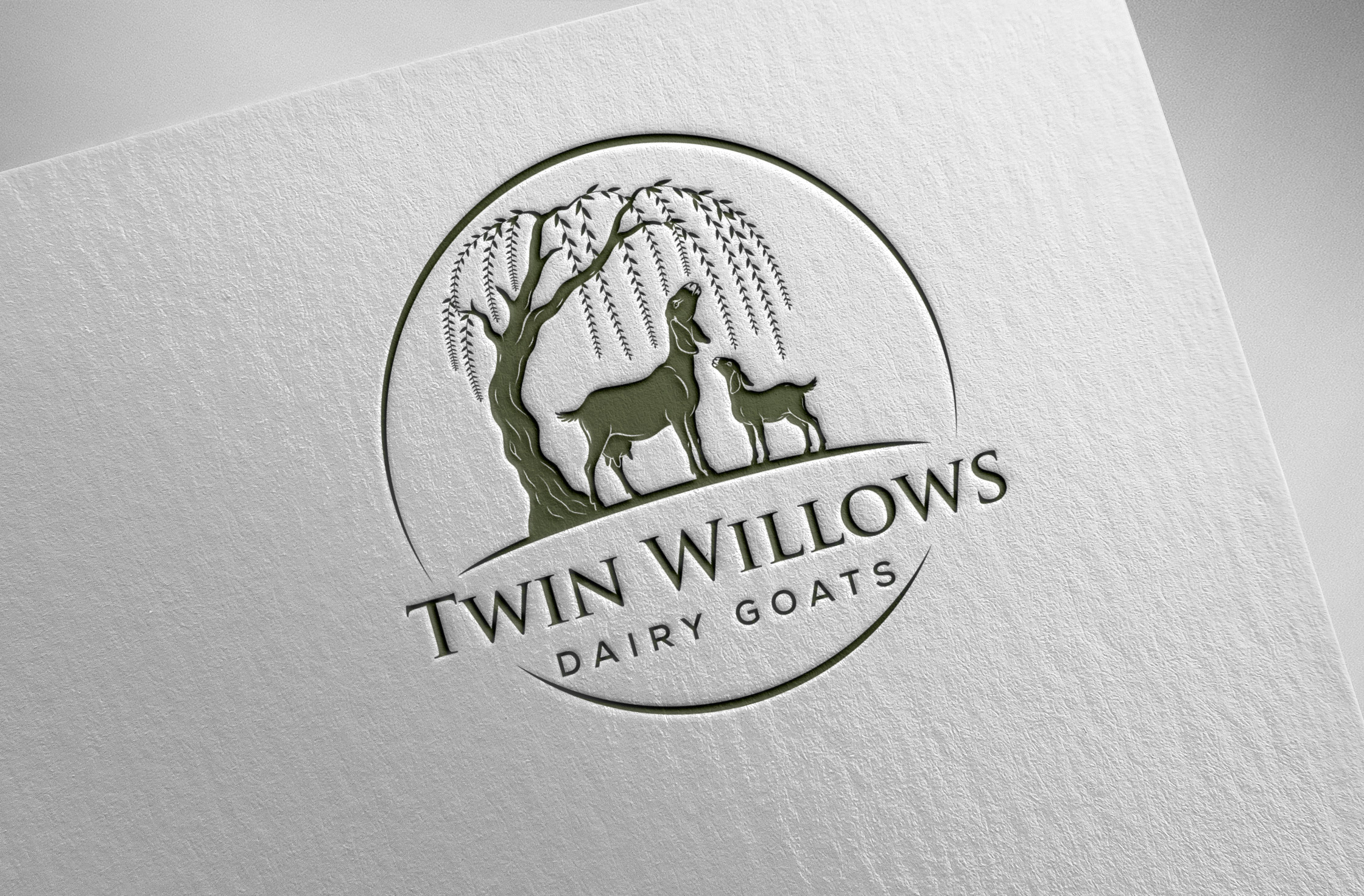 Logo Design by InkPilot_Studio™ for this project | Design #37578182