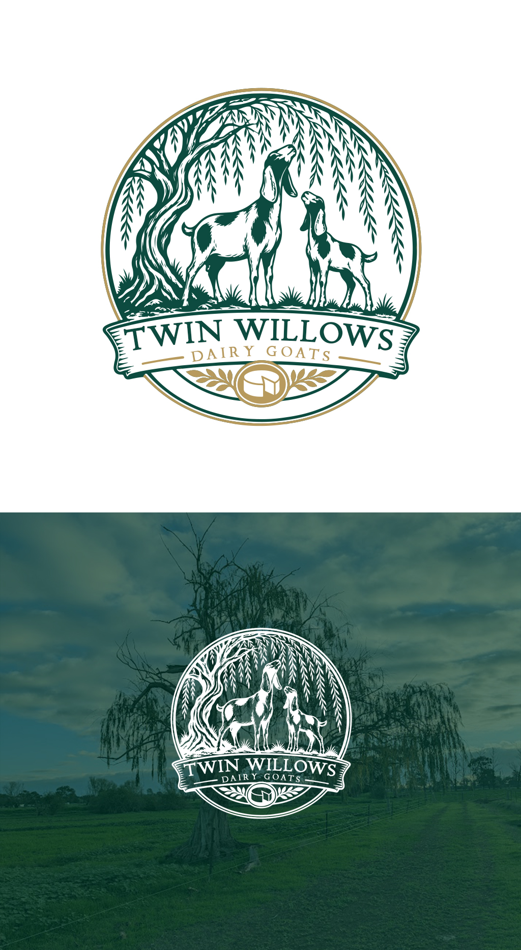 Logo Design by Arts & Letters for this project | Design #37578370