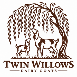 Logo Design by Heem for this project | Design: #37580528