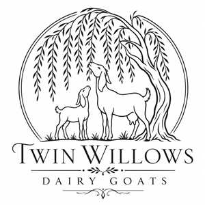 Logo Design by Heem for this project | Design: #37580581