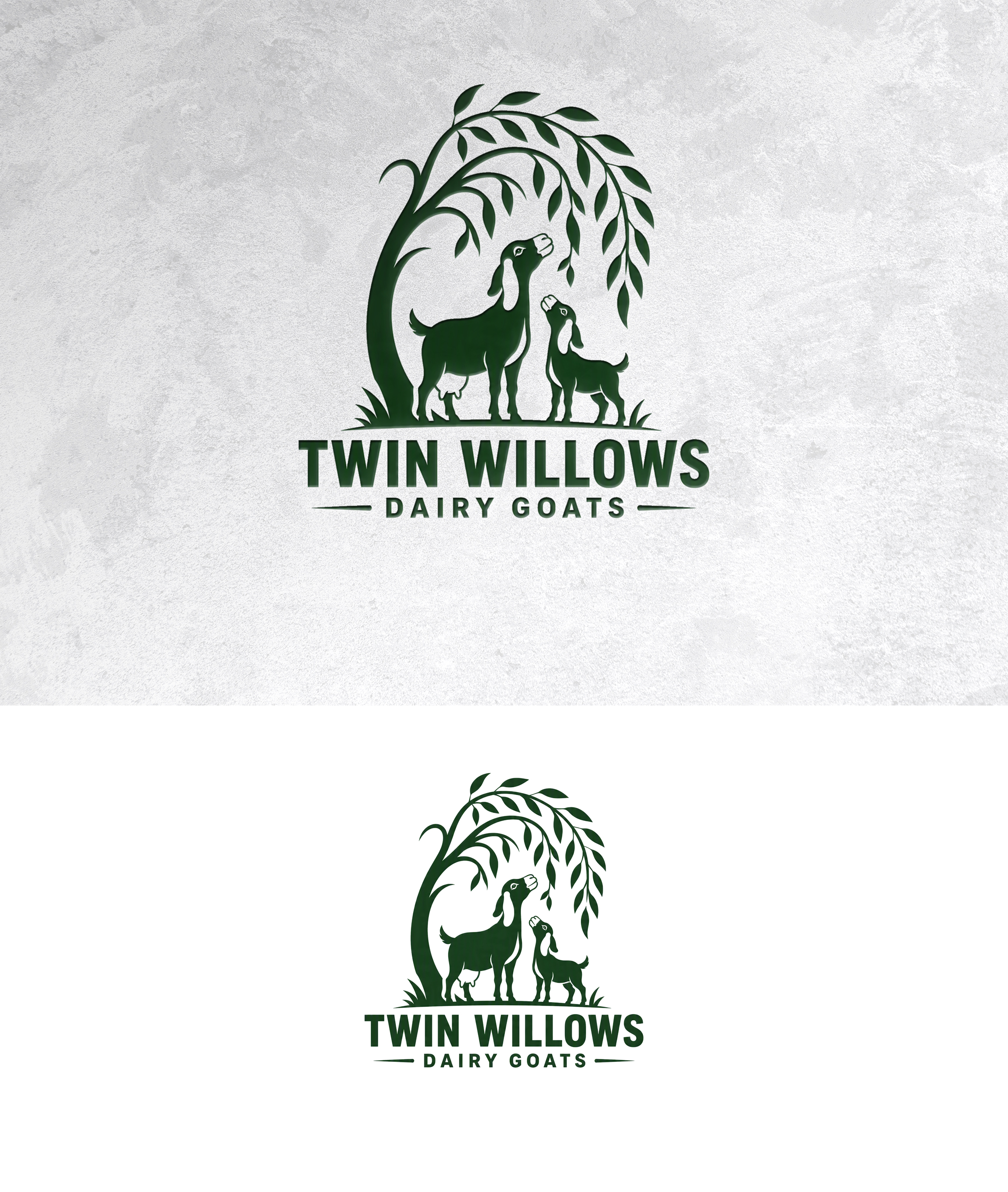 Logo Design by zamdi for this project | Design #37597077