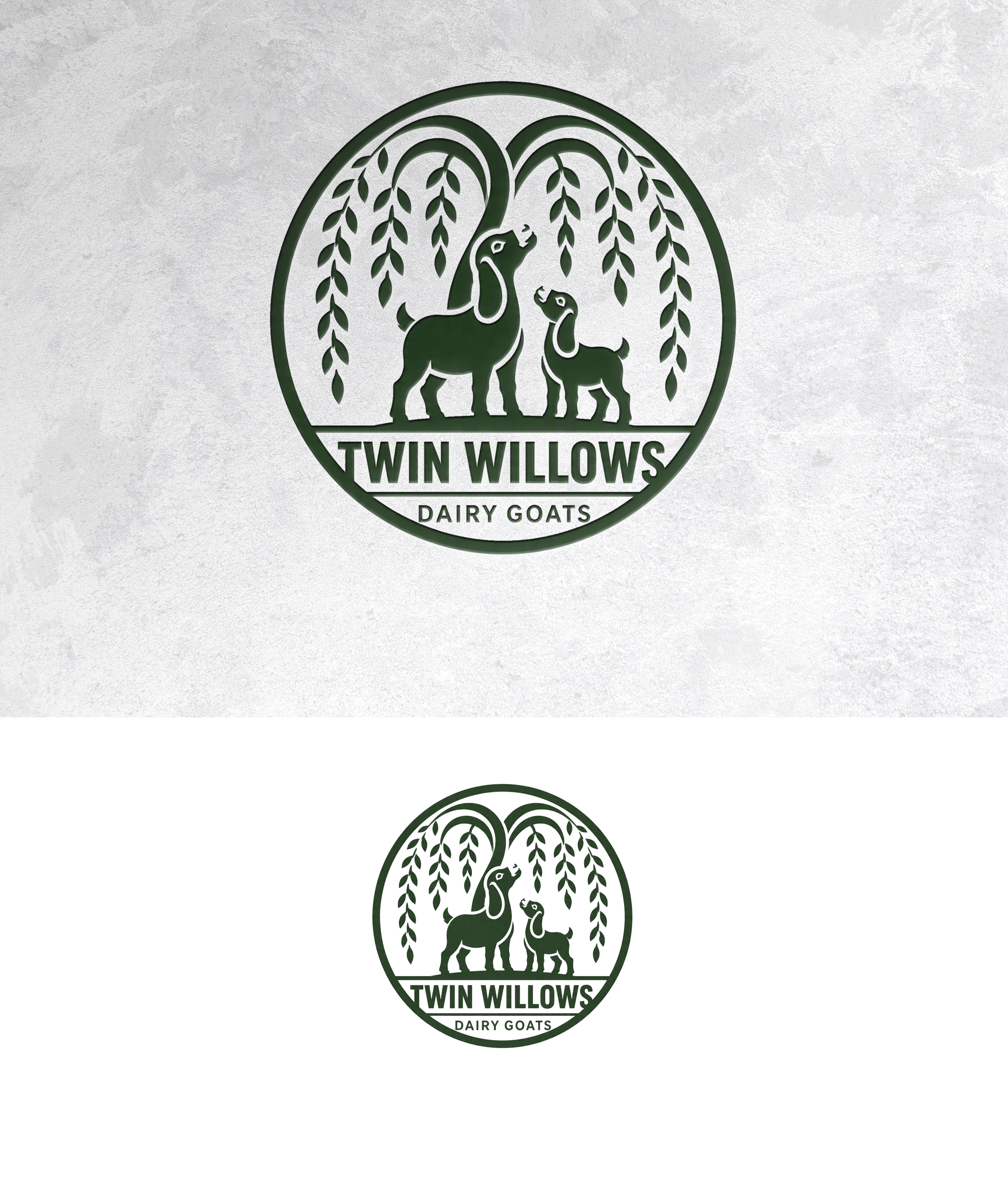 Logo Design by zamdi for this project | Design #37597078