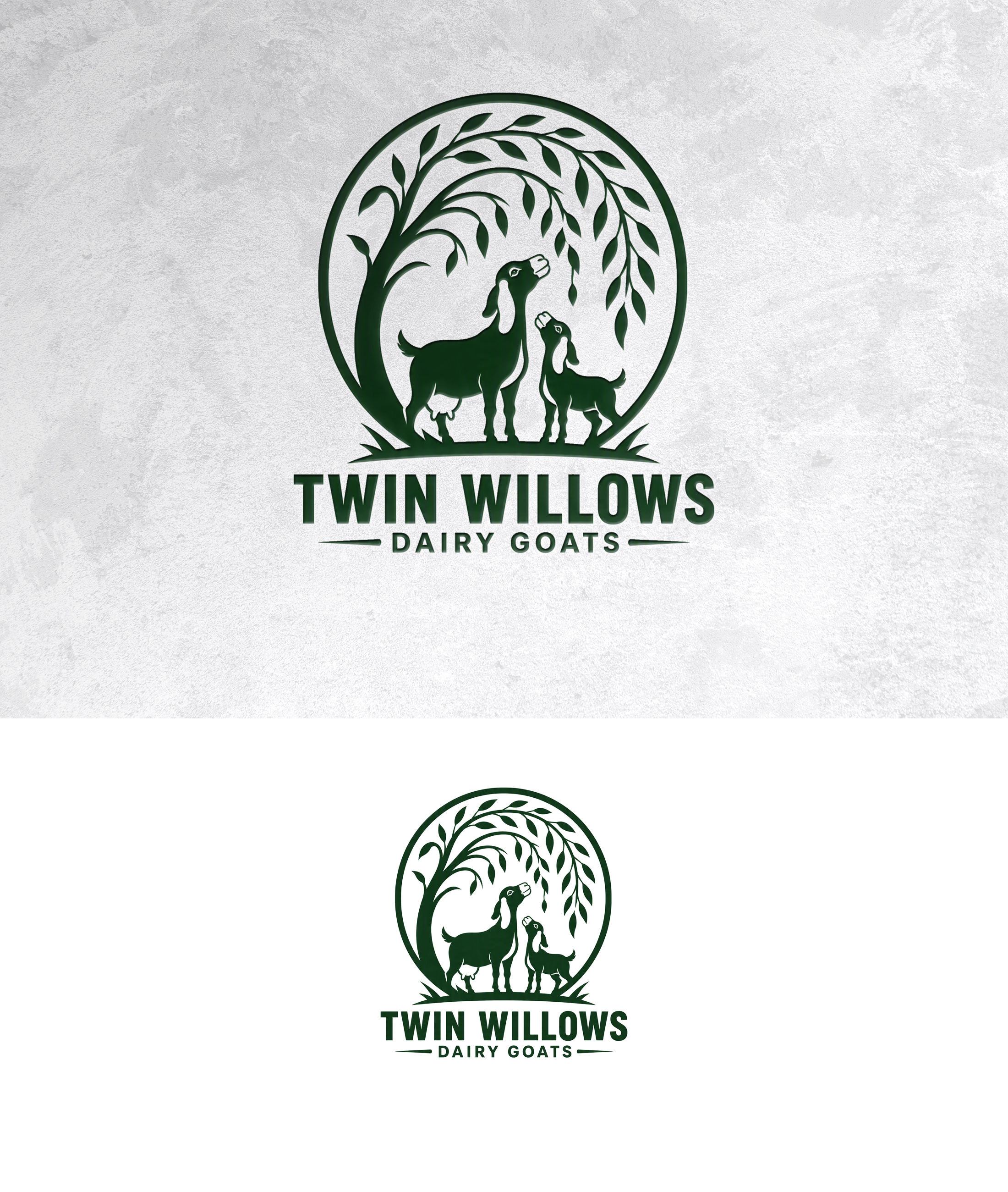 Logo Design by zamdi for this project | Design #37597079