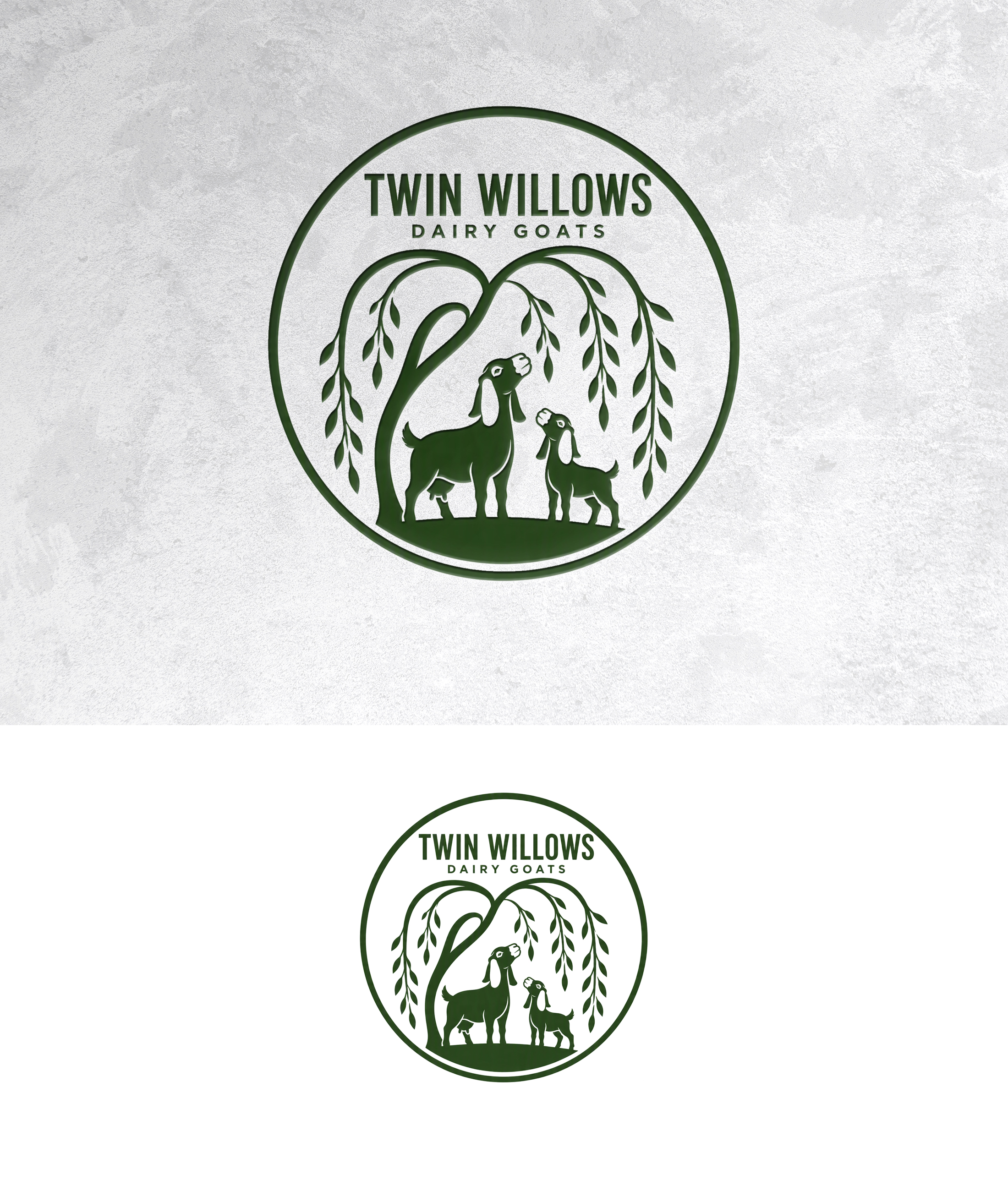 Logo Design by zamdi for this project | Design #37597082