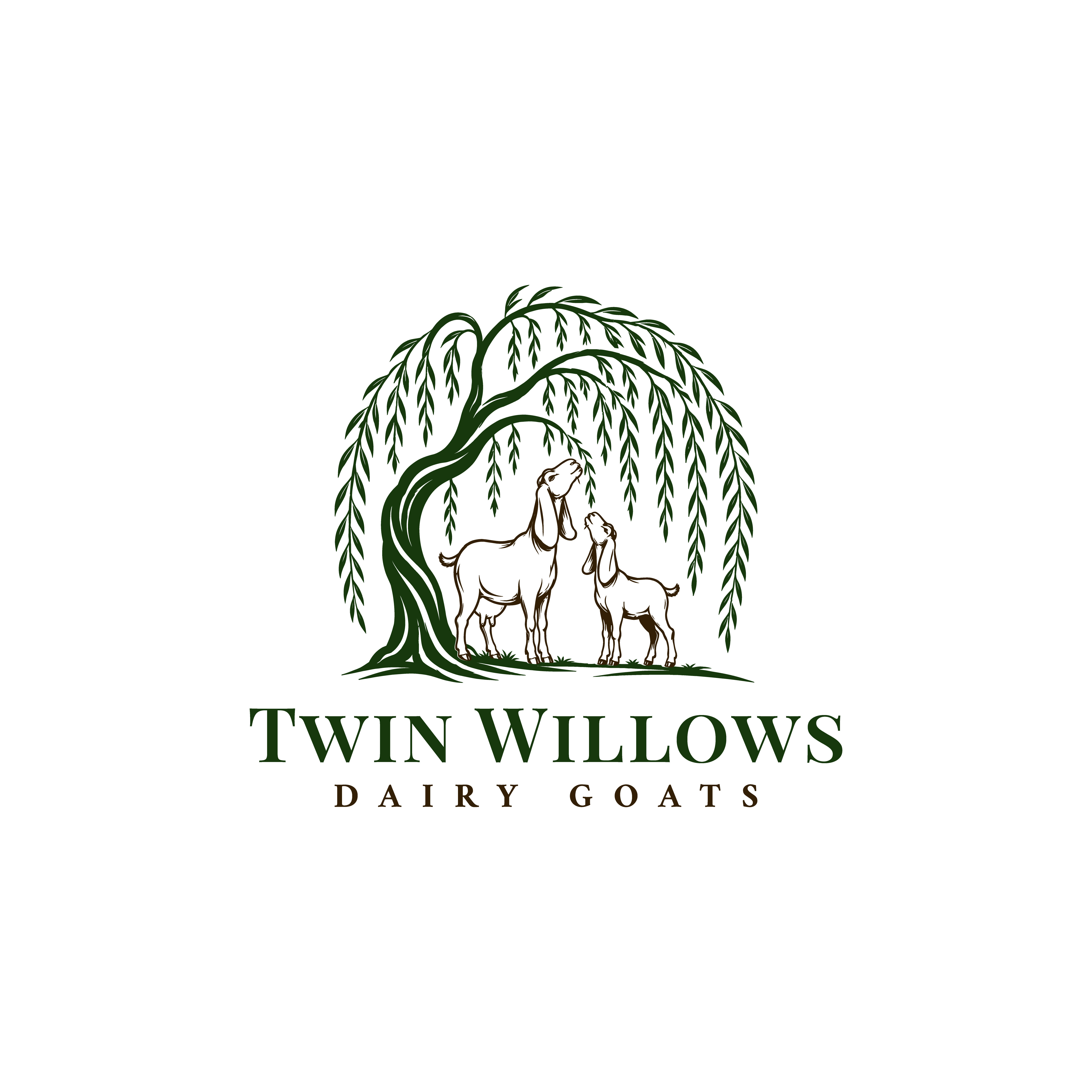 Logo Design by Studio Vertex for this project | Design #37582706