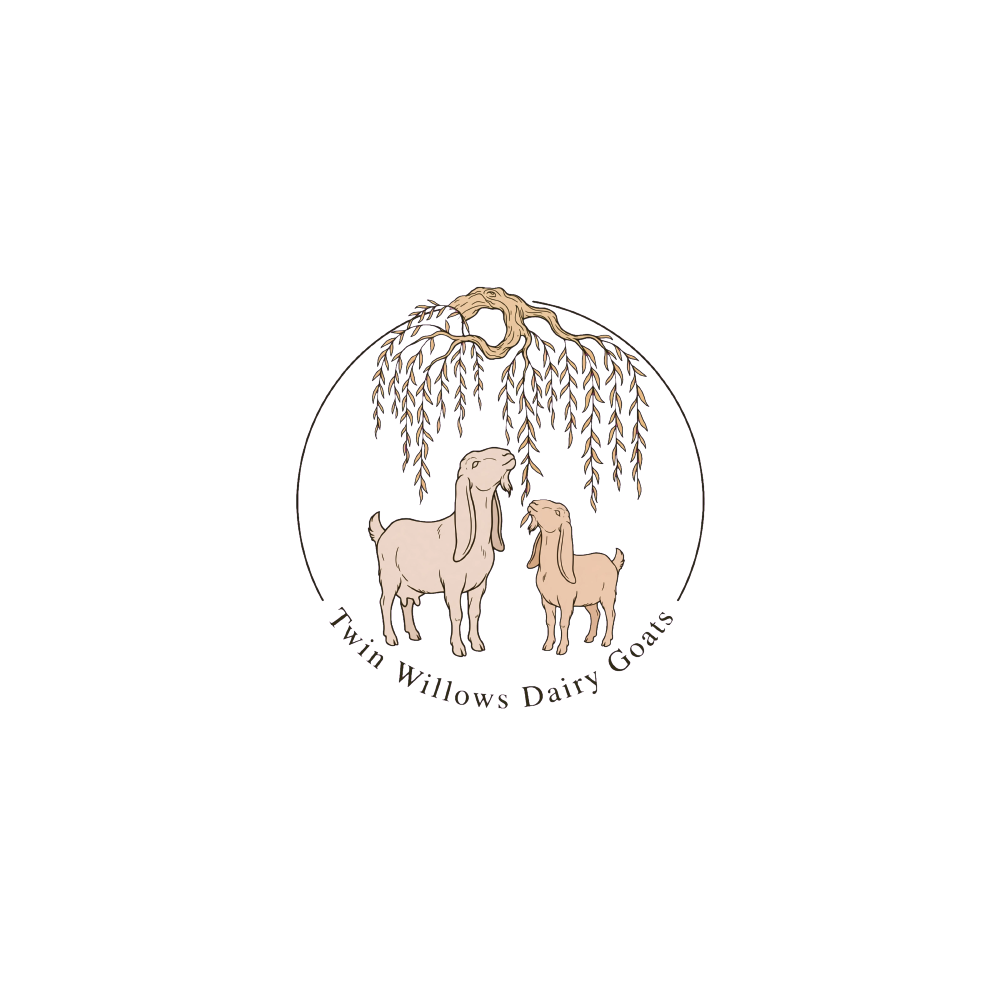 Logo Design by Kabir Kidwai for this project | Design #37579690