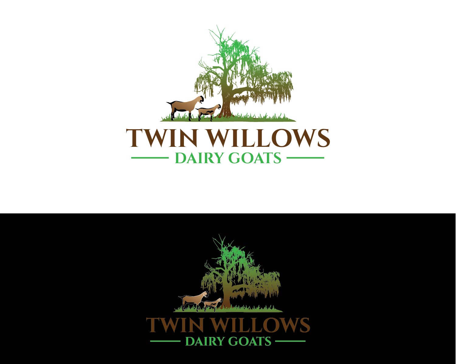 Logo Design by AMGraphix for this project | Design #37577557