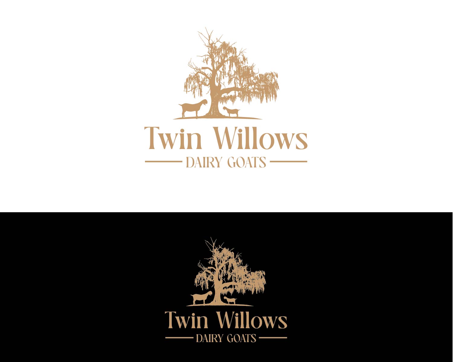 Logo Design by AMGraphix for this project | Design #37577558