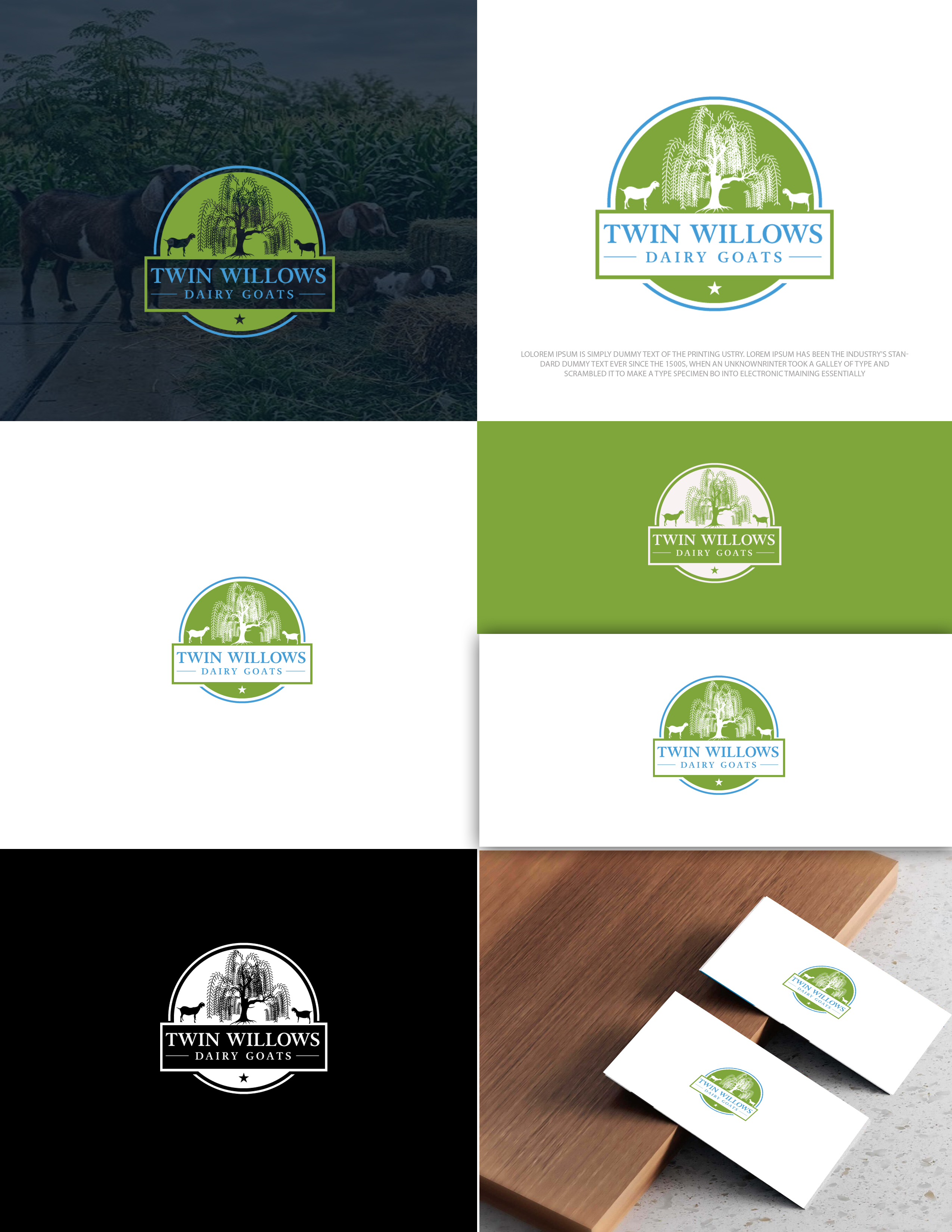 Logo-Design von zebronicgraphic für dieses Projekt | Design #37577968
