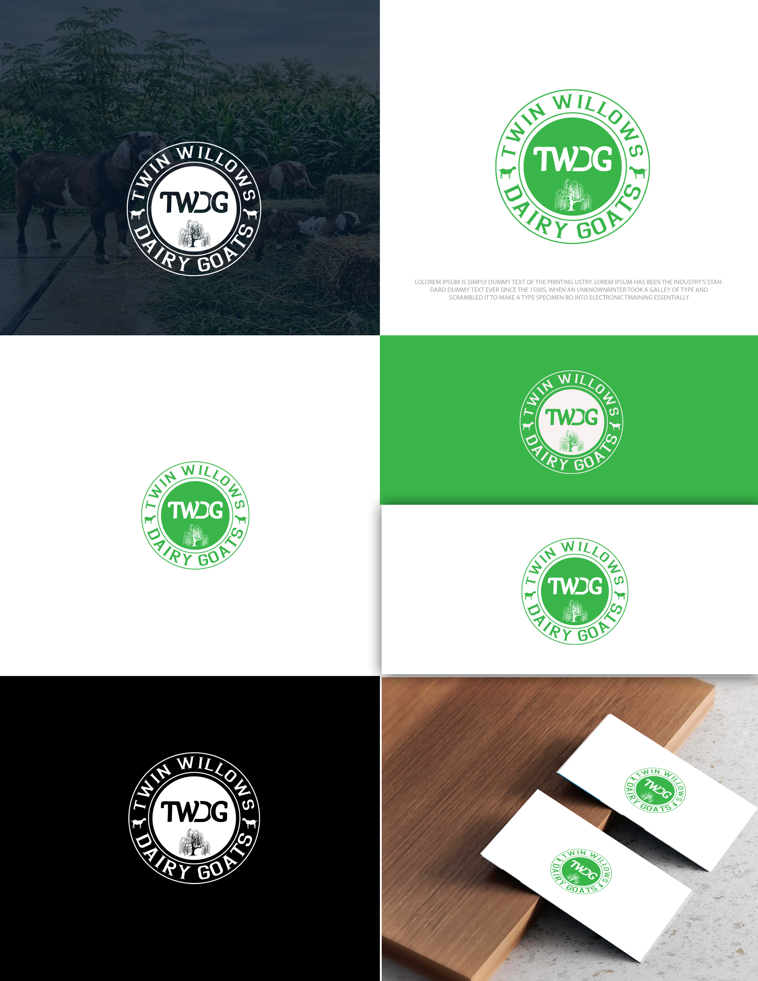 Logo-Design von zebronicgraphic für dieses Projekt | Design #37577969