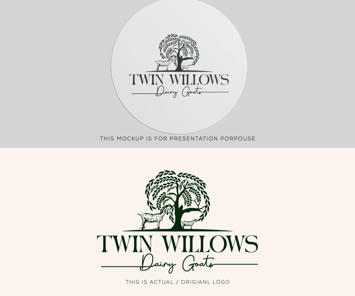 Logo Design by Ansh Design for this project | Design #37577388