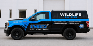 Graphic Design by Wrapcia for this project | Design: #37579568