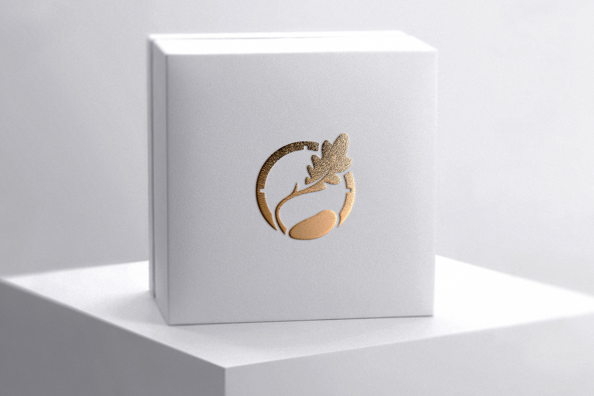 Logo Design by oxkenzie for this project | Design #37612002