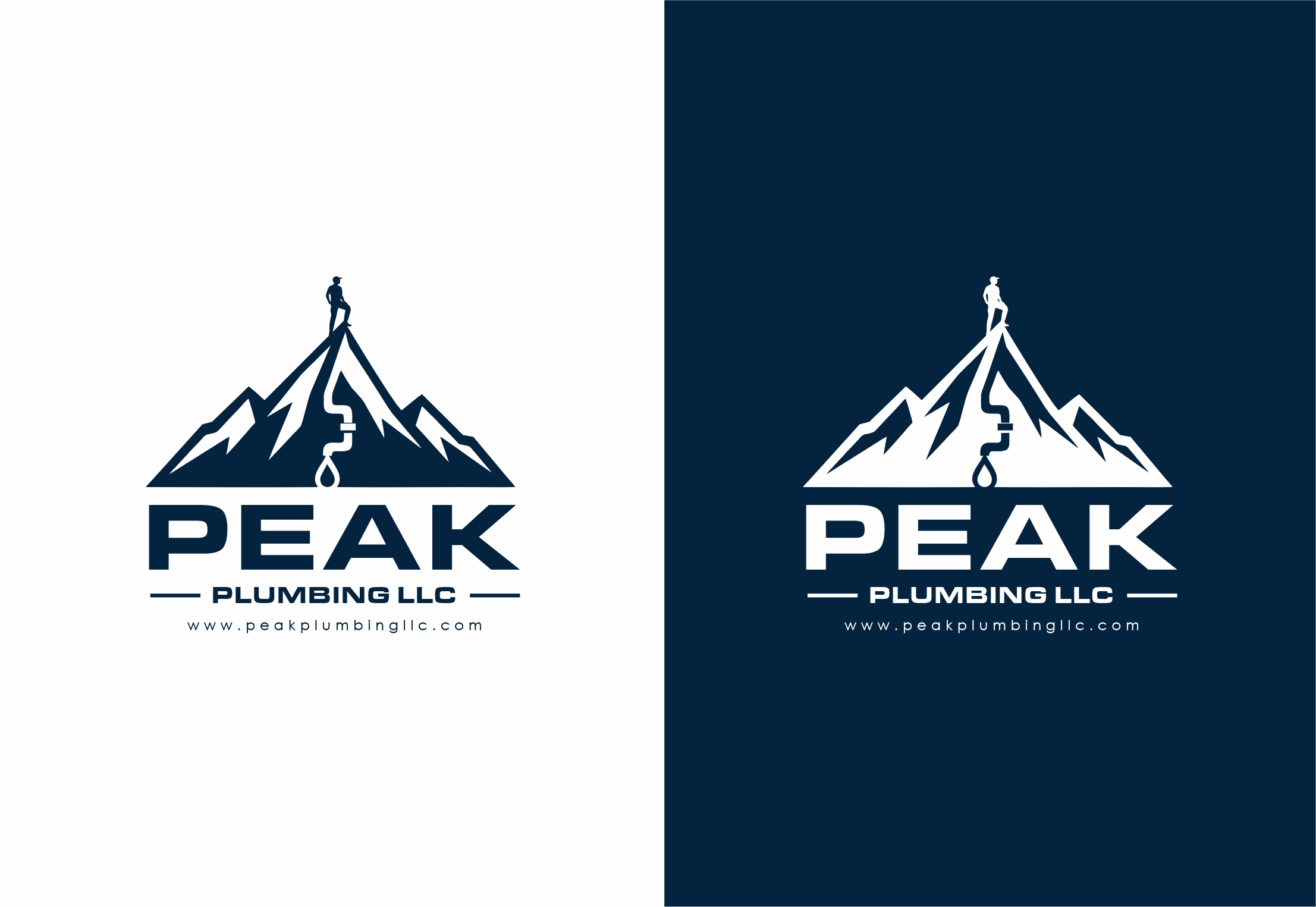 Logo Design by nikkiblue for this project | Design #37603431
